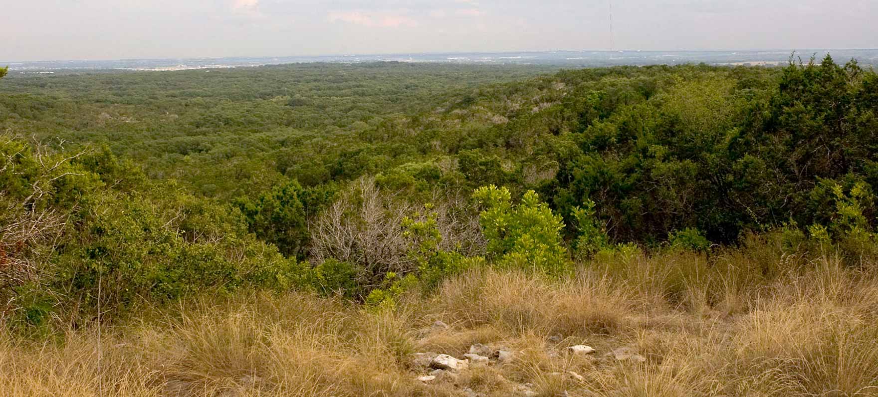 Gov-Canyon-panoramic.