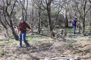 Cindy Sperry Clearing Brush